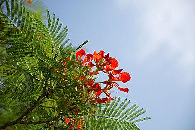 《永恒天空》登陆Steam 末世堡垒生存建设